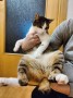 Cleo (10)